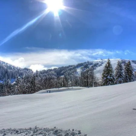 Litostrojska Koca Soriska Planina Bohinj