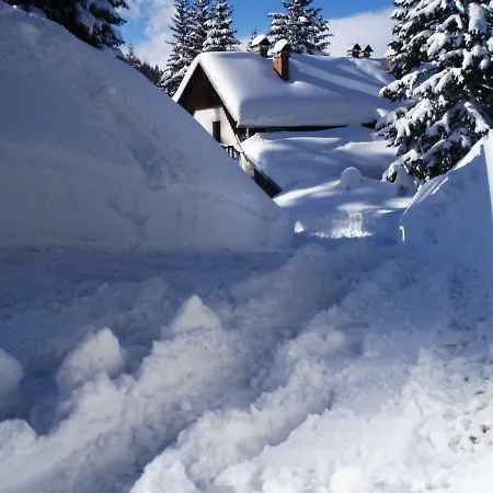 Litostrojska Koca Soriska Planina Bohinj