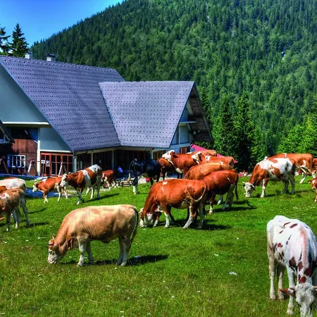 Gasthof Litostrojska Koca Soriska Planina Bohinj Zgornja Sorica